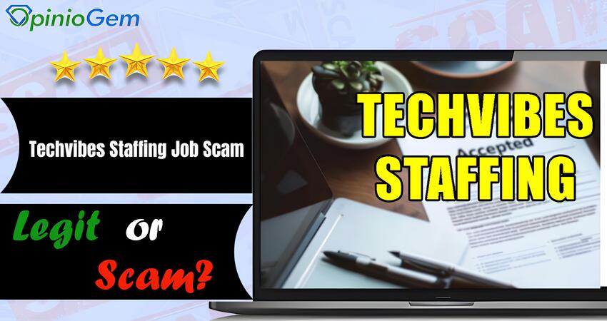 Techvibes staffing Job Scam