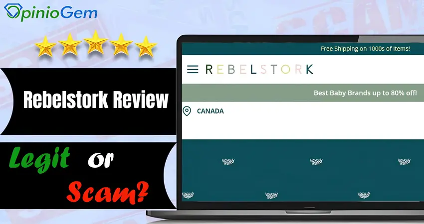 Rebelstork Review: