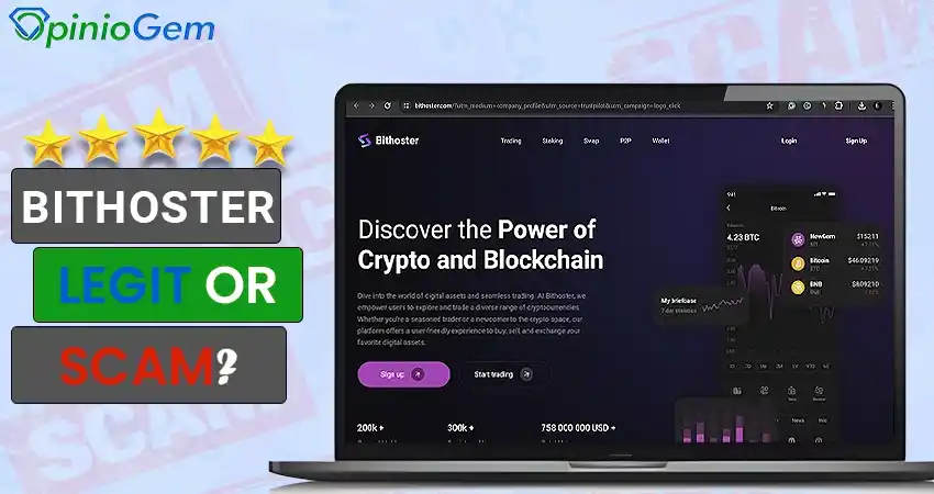 Bithoster.com Review