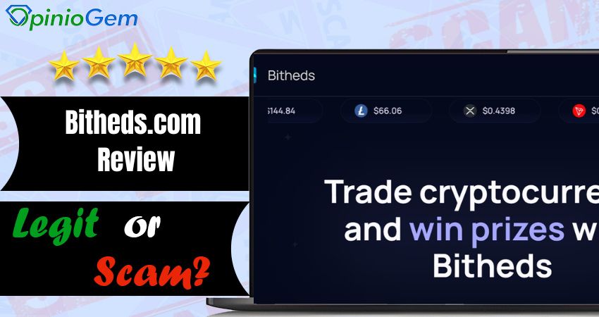 Bitheds.com Review: Legit or Scam