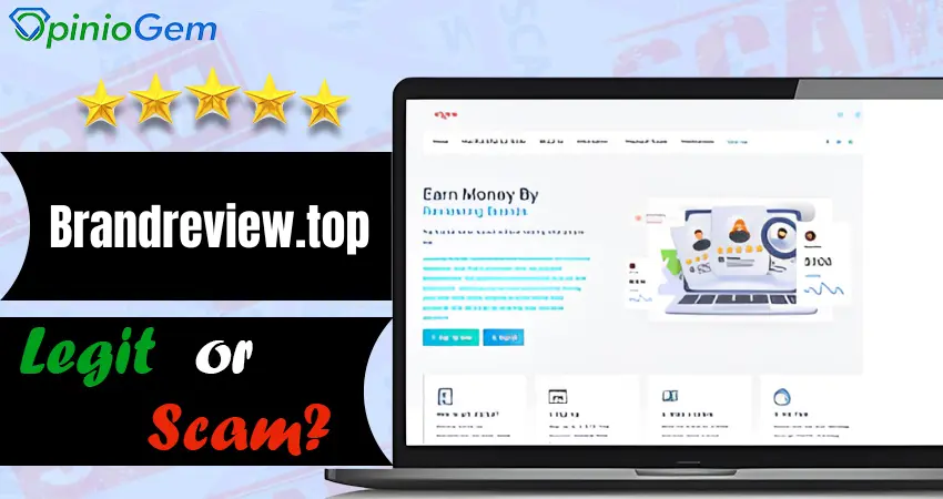 Brandreview.top Review