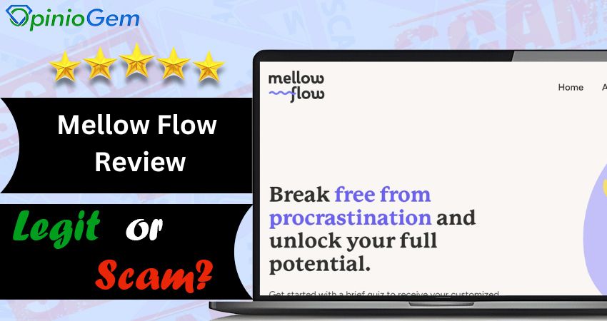 Mellow Flow Review: Is Mellow Flow Legit?