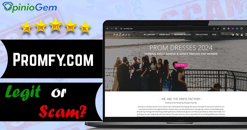 Promfy.com Review