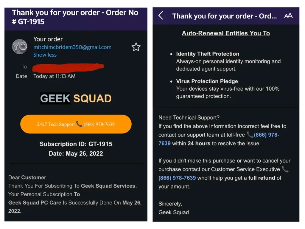 Fake Geek Squad email