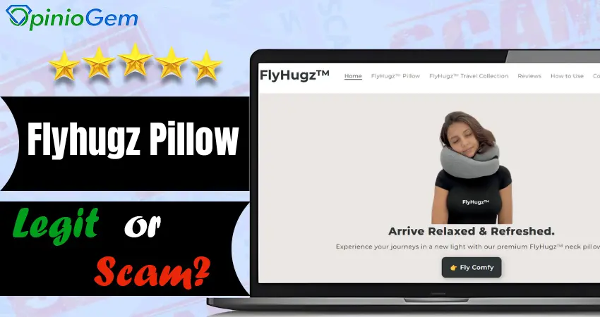 Flyhugz Pillow Review