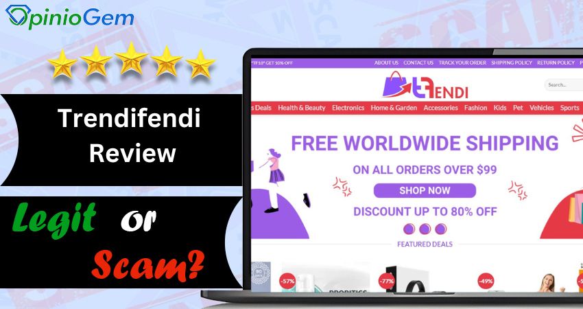 Trendifendi Review: Does It Worth Your Money?