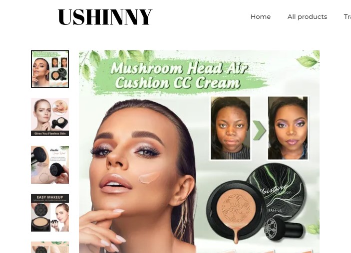 What is Ushinny.com?