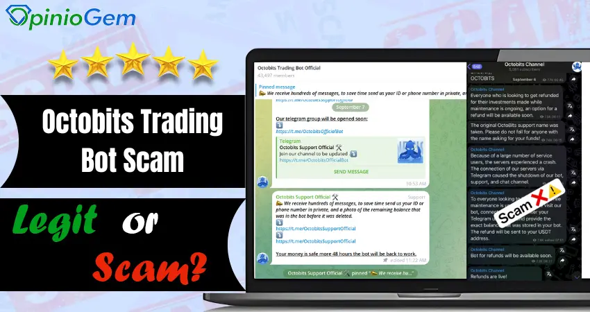 Octobits Trading Bot Scam Telegram