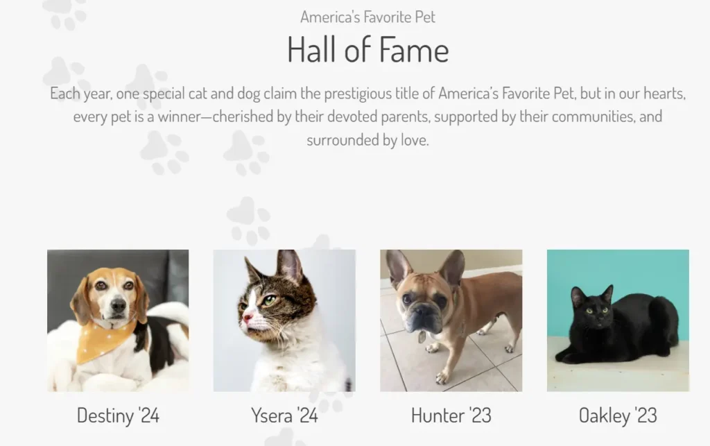 America's Favorite Pet Contest