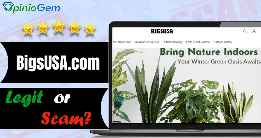 BigsUSA.com Review