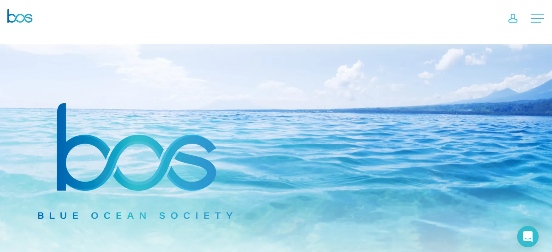 Blue Ocean Society Review