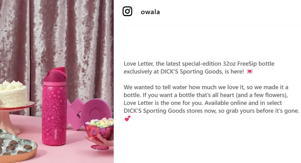 Owala Love Letter Water Bottle